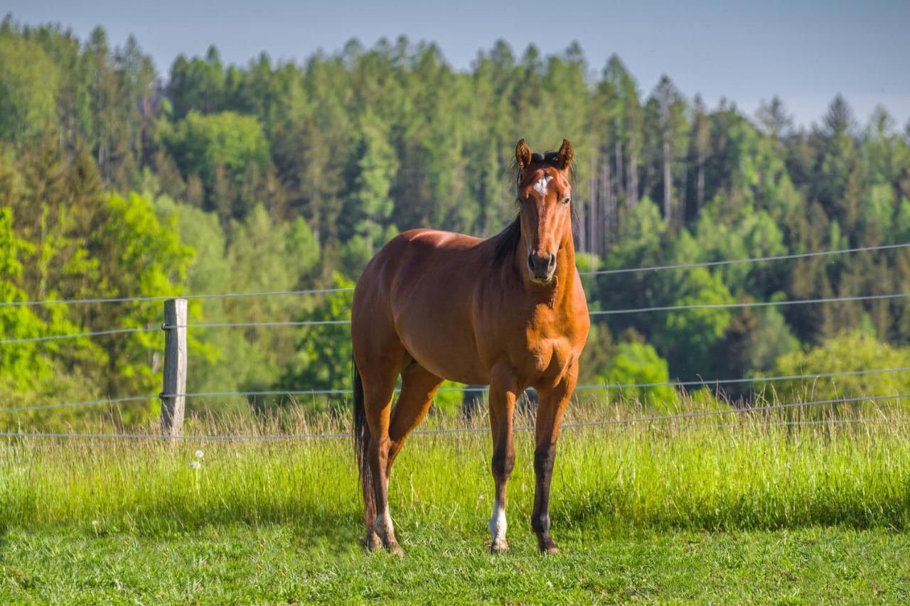 Ranch Jestrebice Ξενοδοχείο Hermanicky Εξωτερικό φωτογραφία