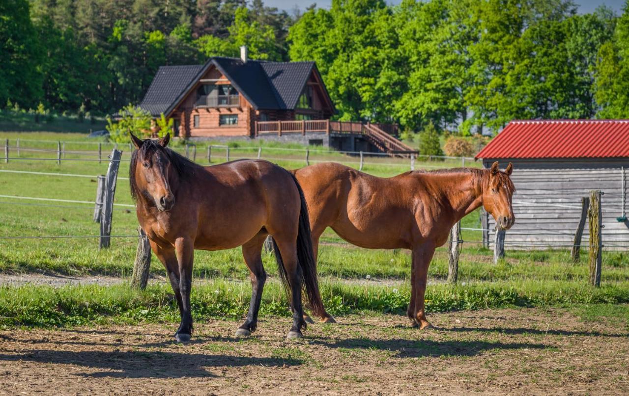 Ranch Jestrebice Ξενοδοχείο Hermanicky Εξωτερικό φωτογραφία